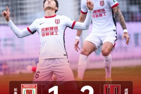 成都蓉城今夜遗憾出局；志在欧联名次提升；信心回归；阵容厚度经受考验的简单介绍